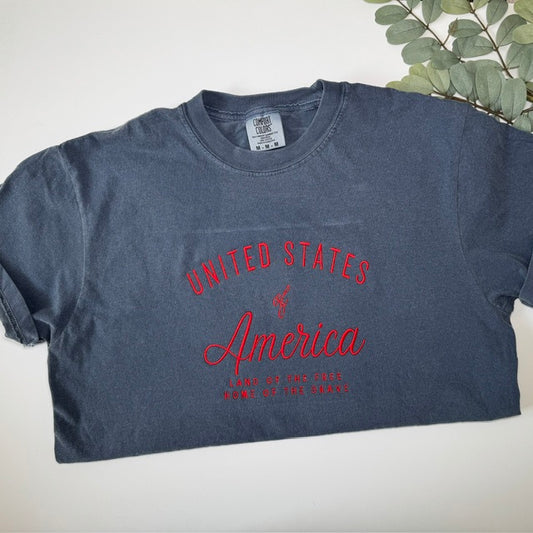 United States of America Comfort Colors Tee